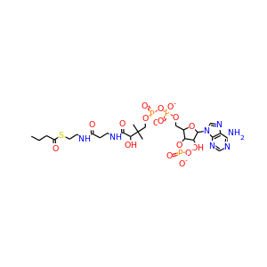 Butyryl coenzyme A